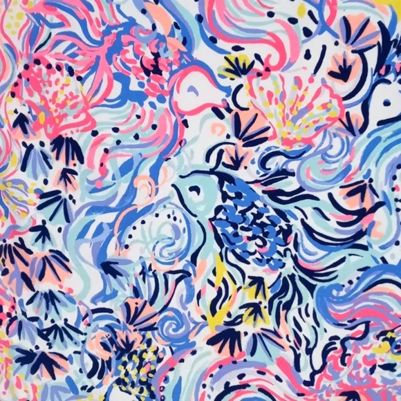 🆕️ 🐠HTF Lilly Pulitzer🐠 - UPF 50+ Skipper Popover Dress - Picture 4 of 15